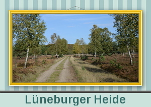 Auswahlbild Lüneburger Heide
