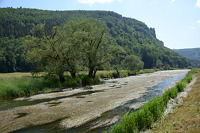 Die Donau blüht
