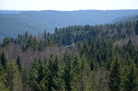 Blick zur Hängebrücke "Wildline"