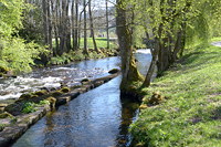 Die Große Enz im Kurpark Bad Wildbad