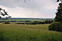 Landschaft südlich von Döggingen