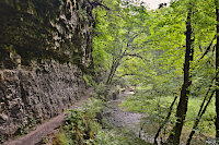 Entlang der Gauchach