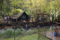 Schrebergarten an der Kamske