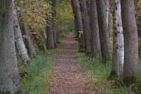 Fußweg nach Lübbenau