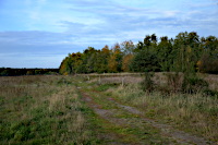 Auf dem ¨Schwarzen Berg¨