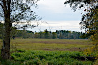 Landschaft im Hirschmoor