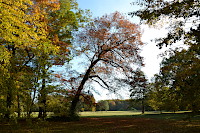 Branitzer Park mit Blick auf die Seepyramide – Begräbnisstätte von Fürst Pückler und Fürstin Lucie.